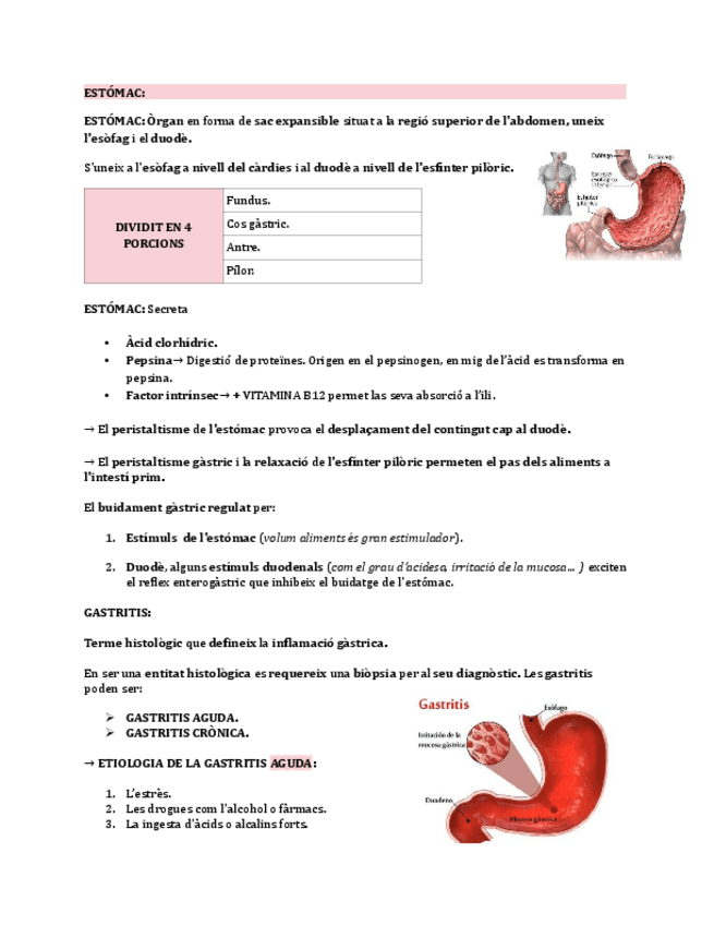 Miniatura del documento ESTOMAC.pdf
