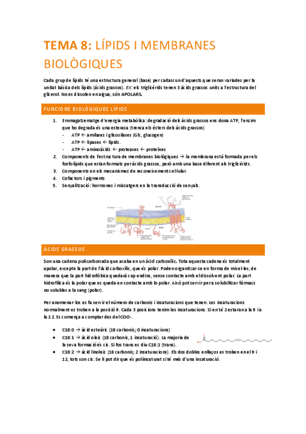 Miniatura del documento ESTRUCTURA-I-FUNCIO-BIOMOLECULES-tema-8.pdf
