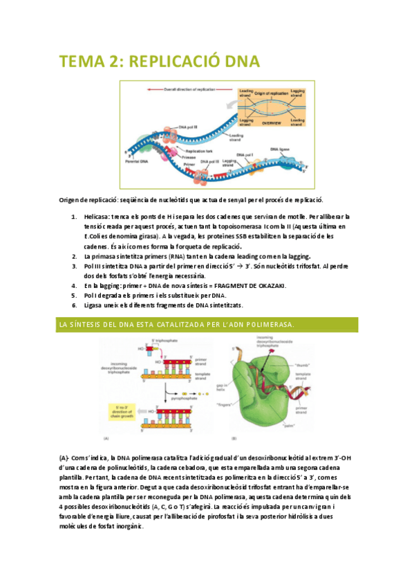 Miniatura del documento PRINCIPIS-BIOLOGIA-MOLECULAR-tema-2.pdf