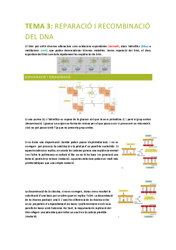 Miniatura del documento PRINCIPIS-BIOLOGIA-MOLECULAR-tema-3.pdf