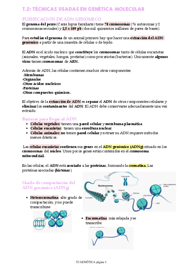 Miniatura del documento T2-GENETICA.pdf
