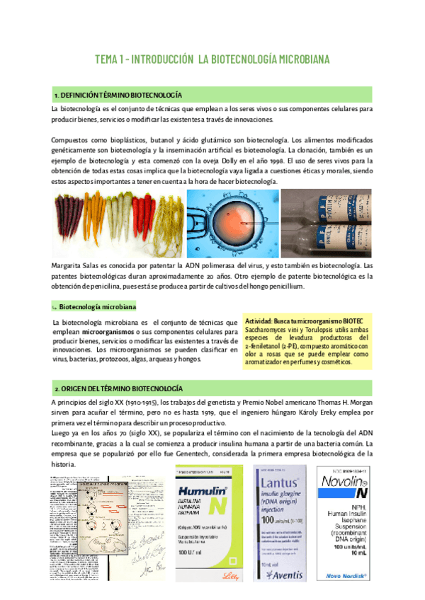 Miniatura del documento TEMA-1-MICRO.pdf