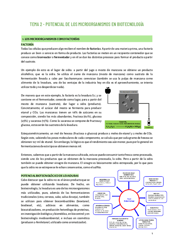 Miniatura del documento TEMA-2-MICRO.pdf