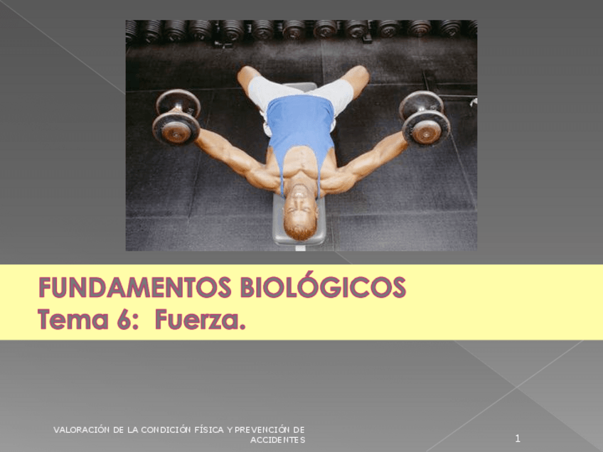 Miniatura del documento TEMA-7.LA-FUERZA.pdf