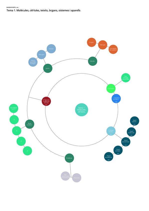Miniatura del documento Tema 1. Esquema sobre Moléculas, celulas, tejidos, órganos, sistemas y aparatos..pdf