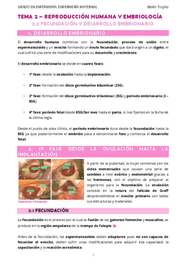 Miniatura del documento MATERNO-Tema2-ReproduccionHumanaEmbriologia-2FecundacionEmbriogenesis.pdf