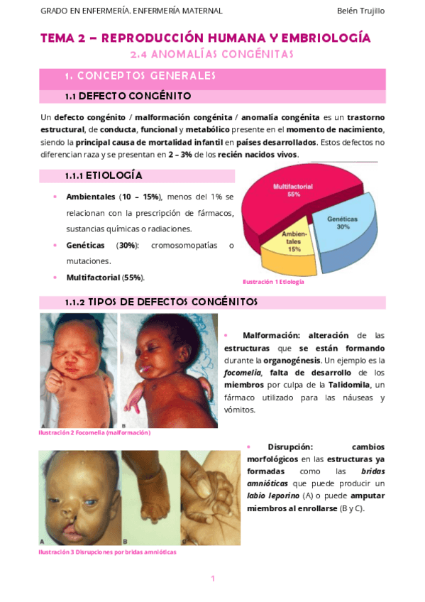 Miniatura del documento MATERNO-Tema2-ReproduccionHumanaEmbriologia-5AnomaliasCongenitas.pdf