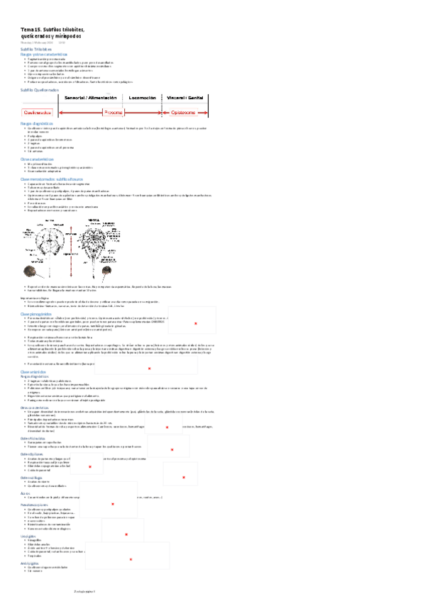 Miniatura del documento TEMA-15.-SUBFILO-TRILOBITES-QUELICERADOS-Y-MIRIAPODOS.pdf