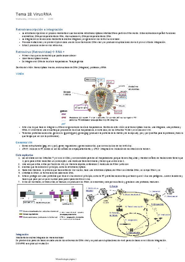 Miniatura del documento TEMA-18.-VIRUS-RNA.pdf