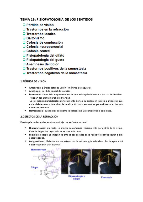 Miniatura del documento TEMA-16-fisiopatologia-de-los-sentidos.pdf