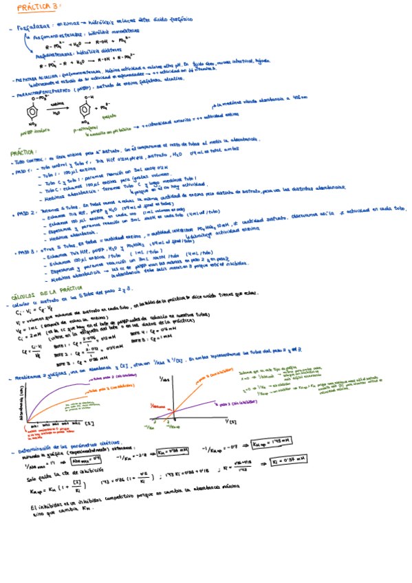 Miniatura del documento Explicacion-practica-3-para-examen.pdf