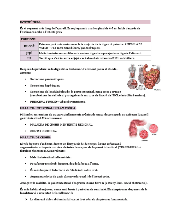 Miniatura del documento INTESTI-PRIM.pdf