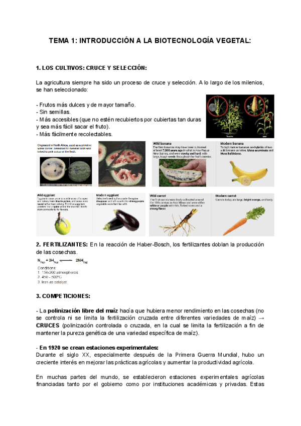 Miniatura del documento TEMA-1-INTRODUCCION-A-LA-BIOTECNOLOGIA-VEGETAL.pdf
