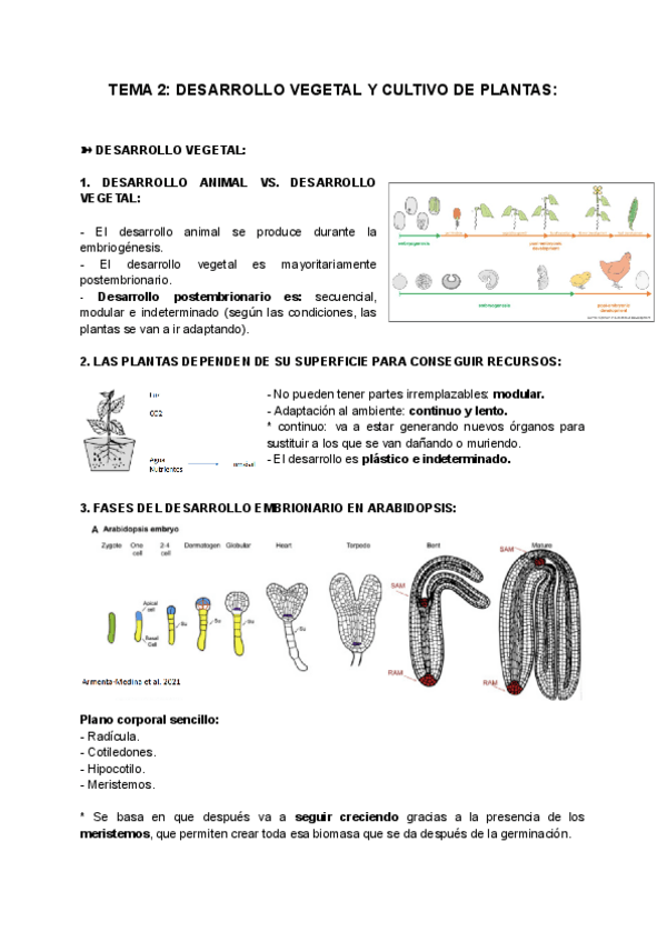 Miniatura del documento TEMA-2-DESARROLLO-VEGETAL-Y-CULTIVO-DE-PLANTAS.pdf