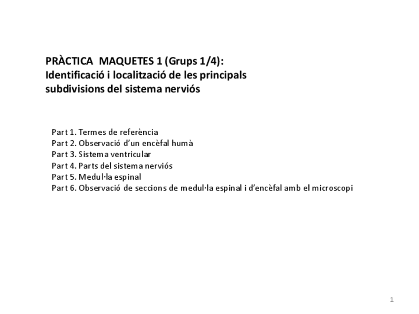 Miniatura del documento Practica-3.-Maquetes1.pdf