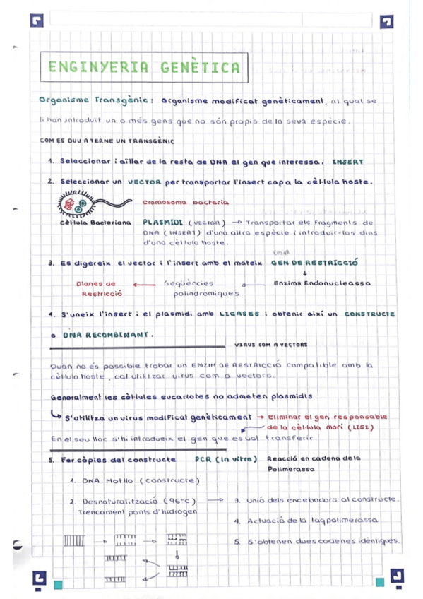 Miniatura del documento Enginyeria-Genetica.pdf