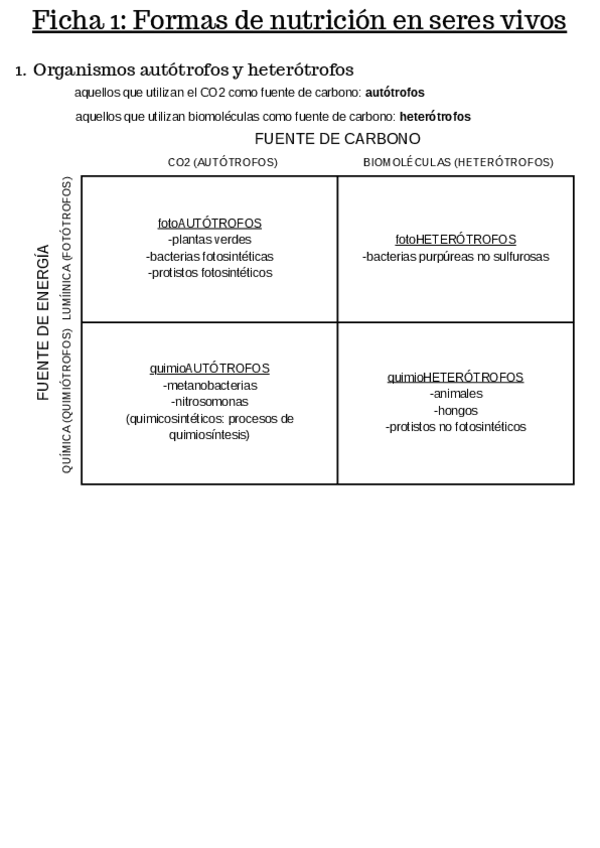 Miniatura del documento BIO-FORMAS-DE-NUTRICION-EN-SERES-VIVOS.pdf