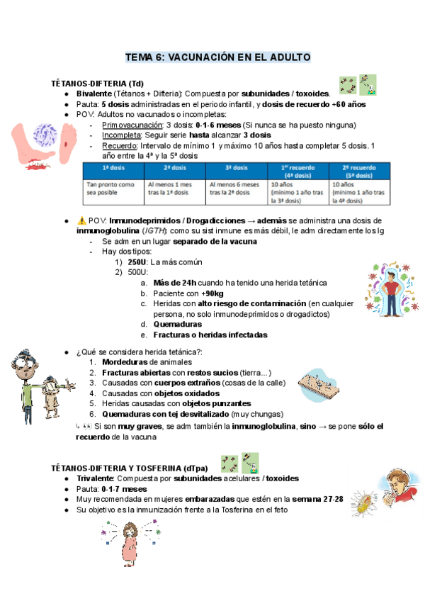Miniatura del documento 6-Vacunacion-adulto.pdf