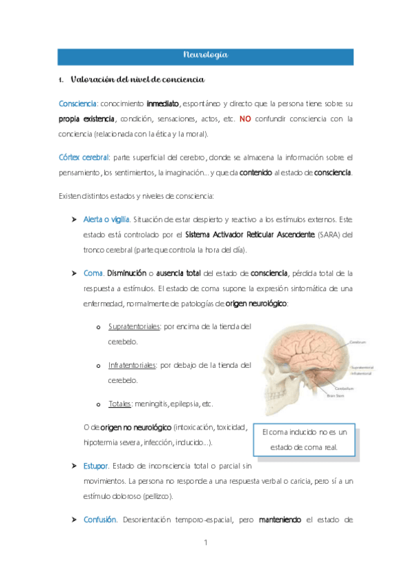 Miniatura del documento Tema-8.-Neurologia.pdf