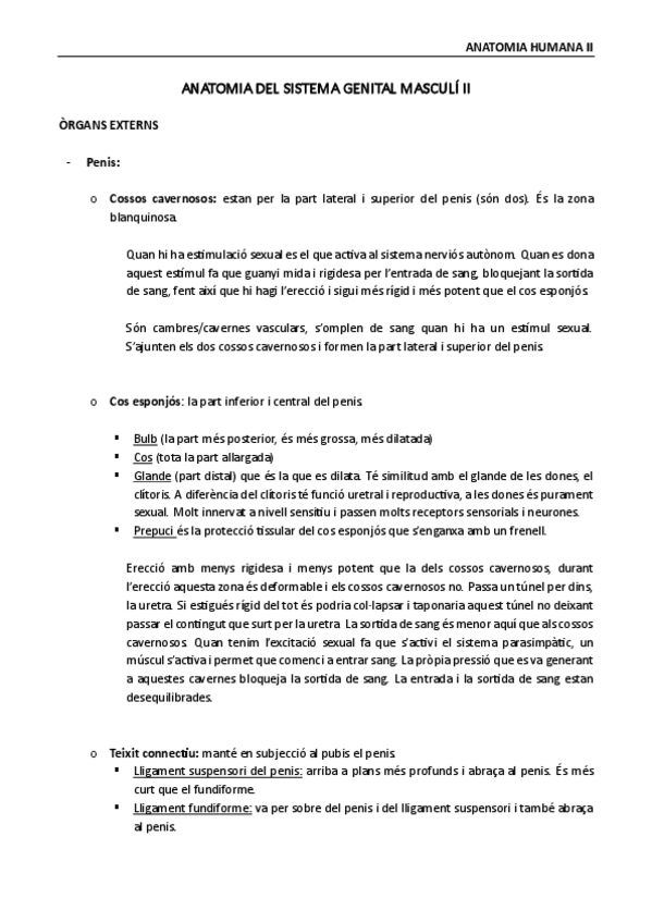 Miniatura del documento Anatomia-humana-II-sistema-genital-masculino-II.pdf