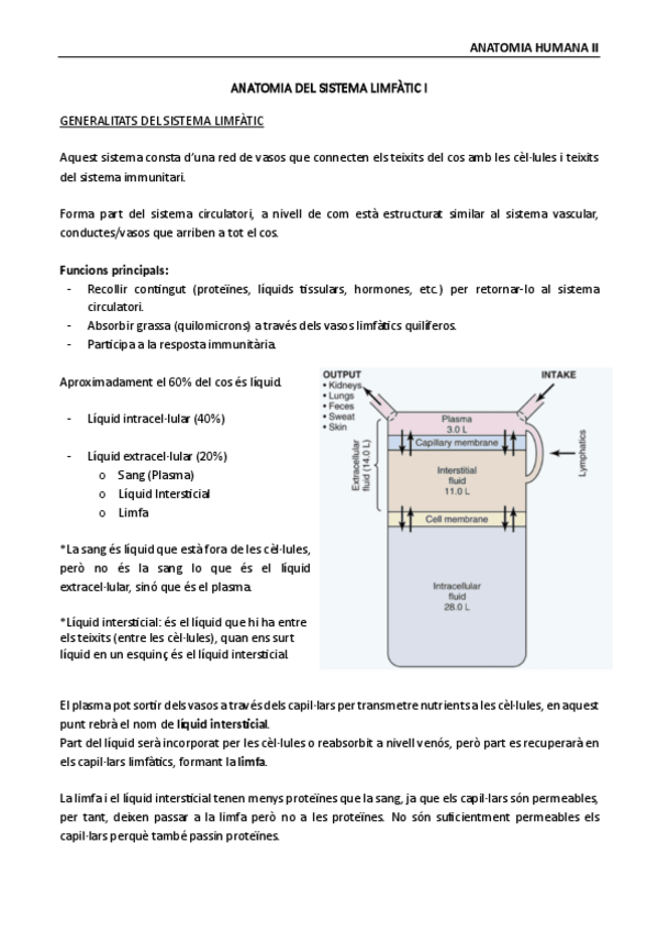 Miniatura del documento anatomia-II-sistema-linfatico-I.pdf