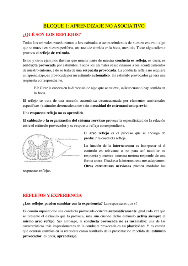 Miniatura del documento BLOQUE-1.pdf
