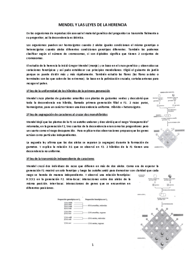 Miniatura del documento Mendel y las leyes de la herencia.pdf