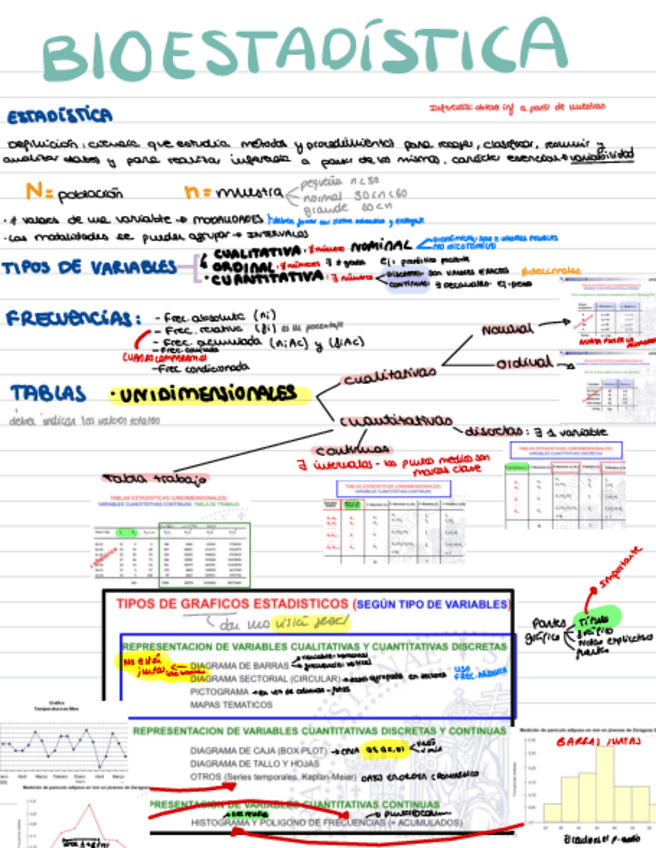 Miniatura del documento TEMARIO-BIOESTADISTICA-PRIMER-PARCIAL.pdf