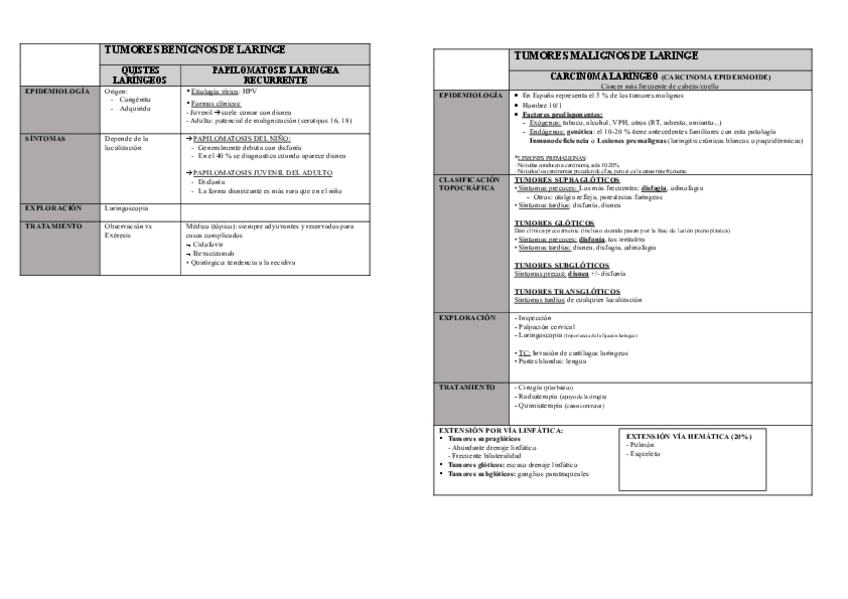 Miniatura del documento TUMORES-MALIGNOS-DE-LARINGE.pdf