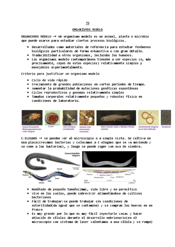 Miniatura del documento t4-organismos-modelo.pdf