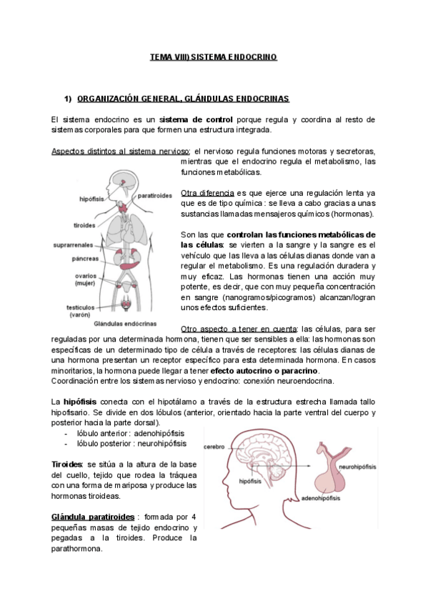 Miniatura del documento TEMA-8.pdf