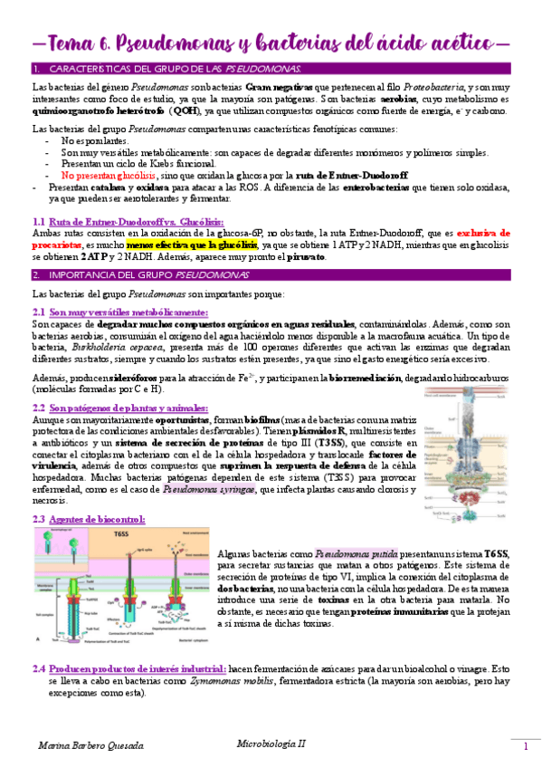 Miniatura del documento Tema-6.-Pseudomonas-y-bacterias-del-acido-acetico.pdf