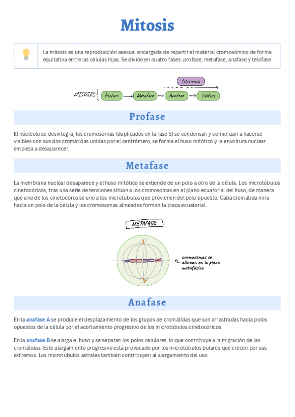 Miniatura del documento Mitosis-y-meiosis.pdf