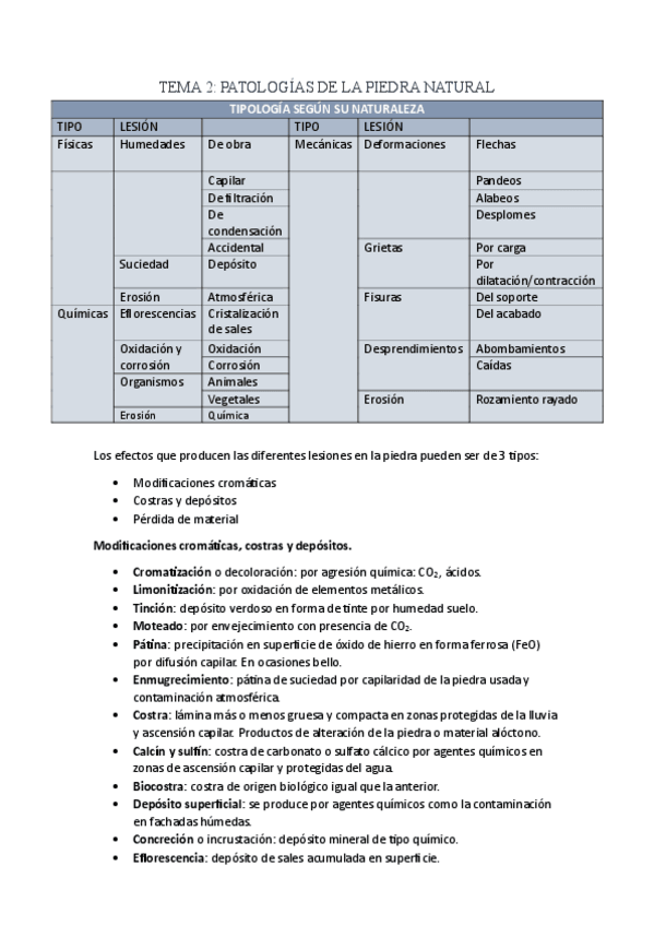 Miniatura del documento Tema-2-Patologias-de-la-Piedra-Natural.pdf