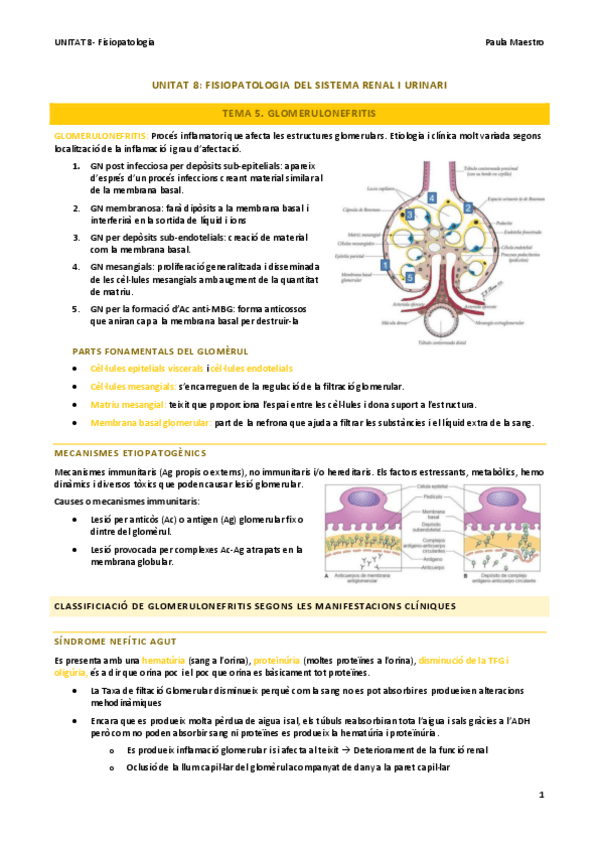 Miniatura del documento UNITAT-8.5-Fisiopatologia.pdf