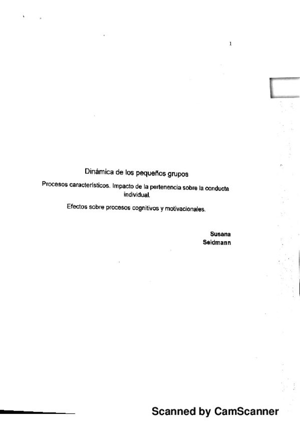 Miniatura del documento 16-SEIDMANN-Grupos-pequenos.pdf