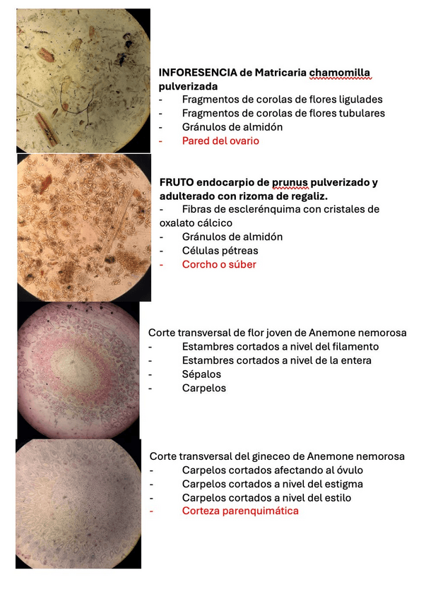 Miniatura del documento Final-practicas-resuelto.pdf