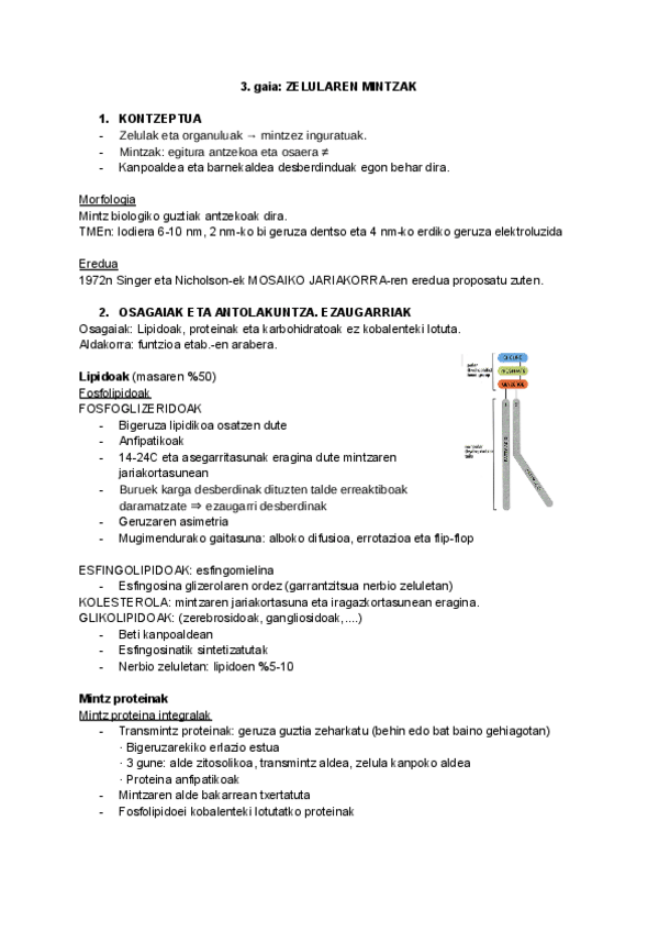 Miniatura del documento Zelulen-biologia-3.-gaia.docx.pdf