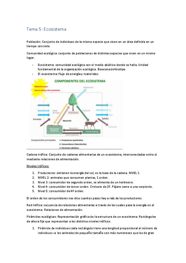 Miniatura del documento t5.pdf