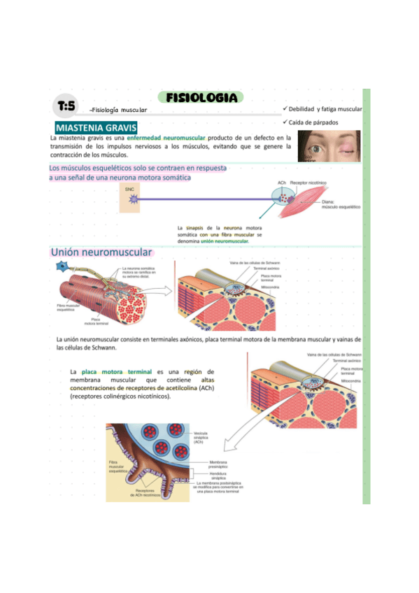 Miniatura del documento T5.pdf