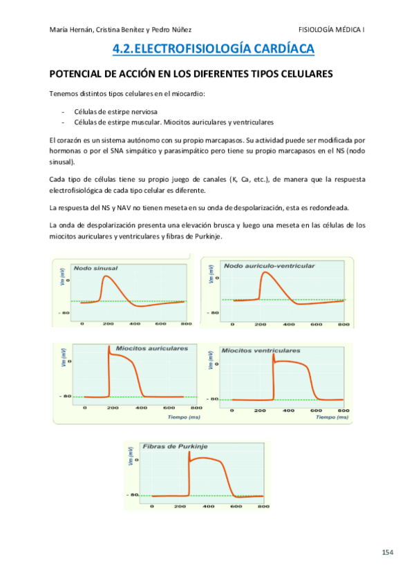 Miniatura del documento FISIO TEMA 4.2-4.3.pdf