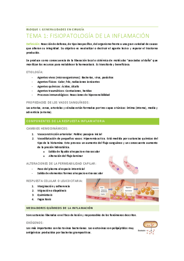 Miniatura del documento AFECCIONES-II.pdf