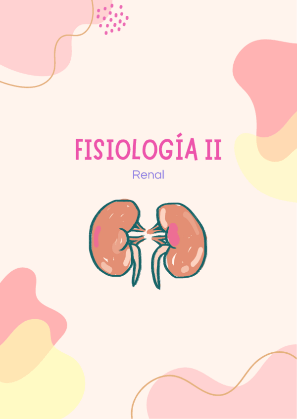 Miniatura del documento Apuntes-Fisiologia-Renal.pdf