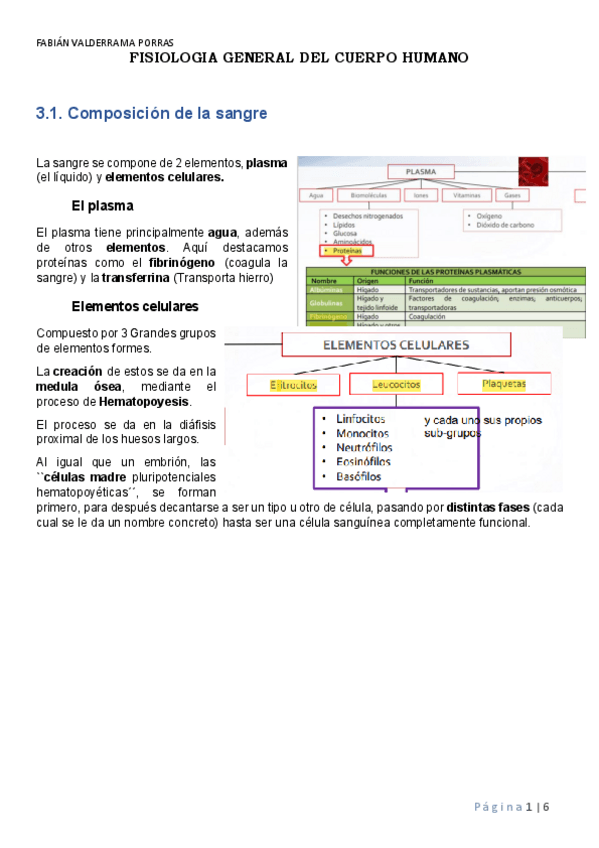 Miniatura del documento Bloque-3-Fisiologia.pdf