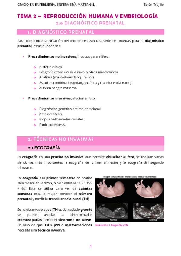 Miniatura del documento MATERNO-Tema2-ReproduccionHumanaEmbriologia-6DxPrenatal.pdf