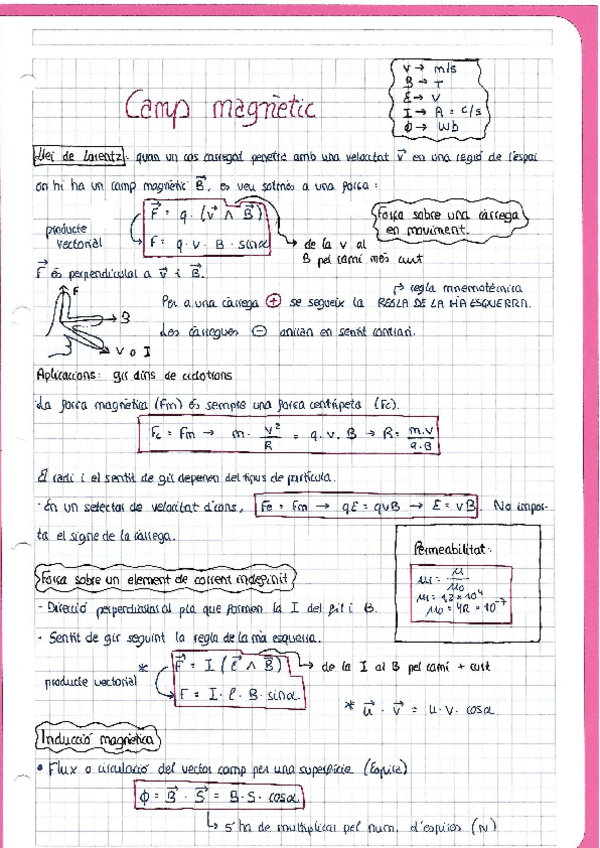 Miniatura del documento Camp Magnètic.pdf