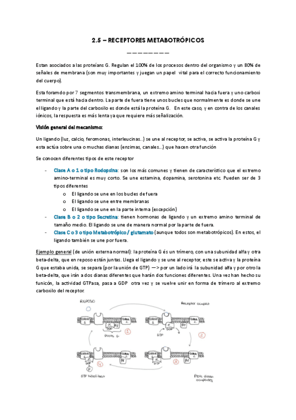 Miniatura del documento 2.5-RECEPTORES-METABOTROPICOS.pdf