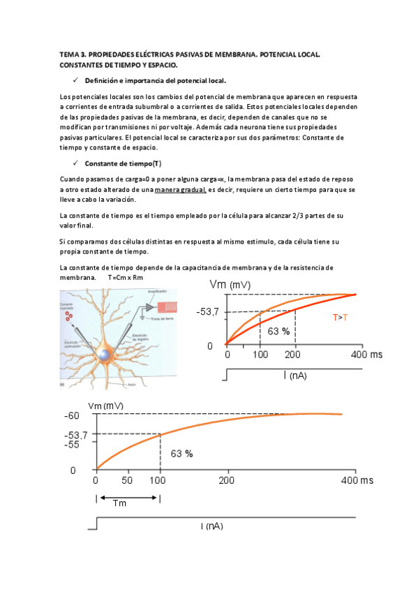 Miniatura del documento TEMA-3.pdf