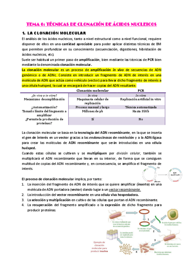Miniatura del documento Clonacion-y-Secuenciacion.pdf