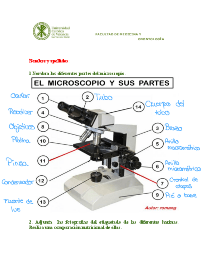 Miniatura del documento PRACTICA-1.pdf